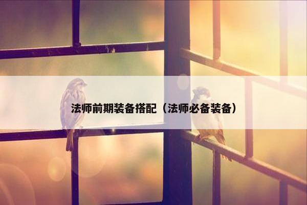 法师前期装备搭配（法师必备装备）