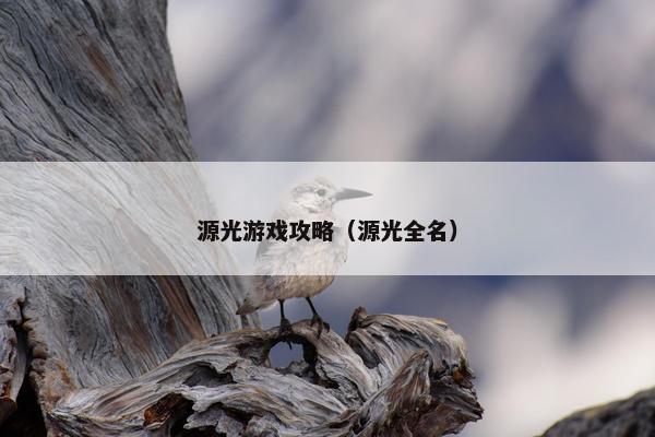 源光游戏攻略（源光全名）