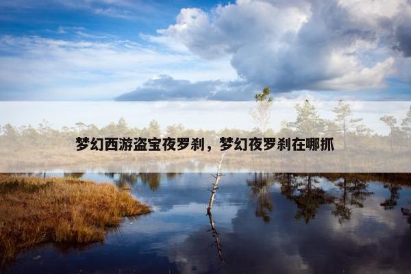 梦幻西游盗宝夜罗刹，梦幻夜罗刹在哪抓
