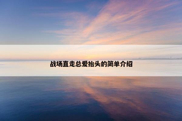 战场直走总爱抬头的简单介绍