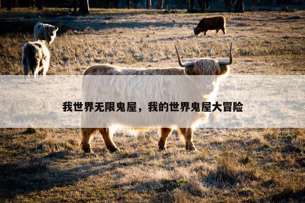 我世界无限鬼屋，我的世界鬼屋大冒险