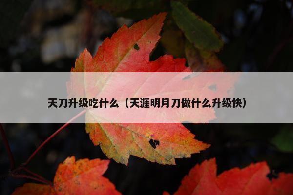 天刀升级吃什么（天涯明月刀做什么升级快）