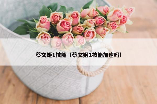 蔡文姬1技能（蔡文姬1技能加速吗）