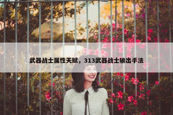武器战士属性天赋，313武器战士输出手法