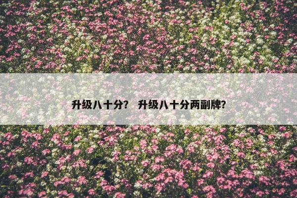 升级八十分？ 升级八十分两副牌？