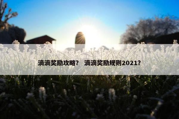 滴滴奖励攻略？ 滴滴奖励规则2021？