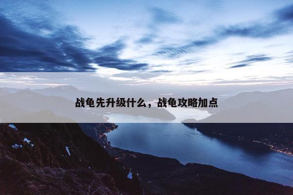 战龟先升级什么，战龟攻略加点