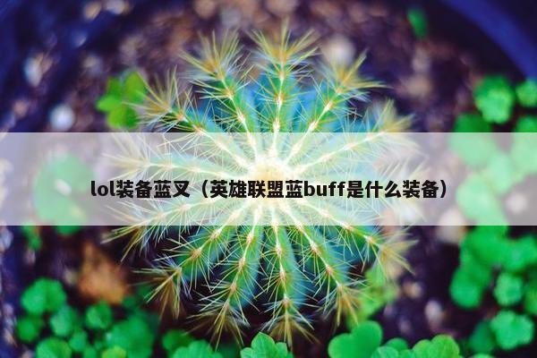 lol装备蓝叉（英雄联盟蓝buff是什么装备）