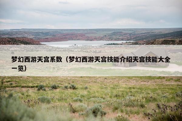 梦幻西游天宫系数（梦幻西游天宫技能介绍天宫技能大全一览）