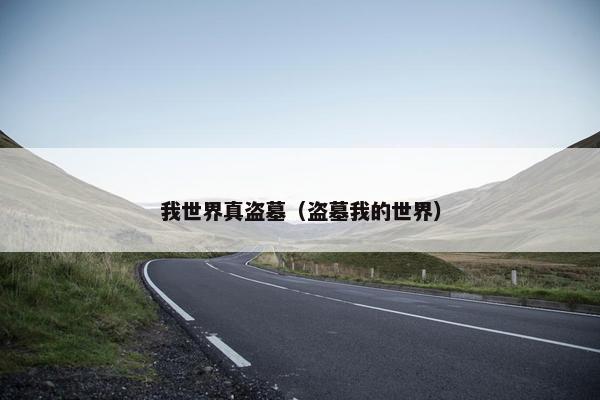 我世界真盗墓（盗墓我的世界）