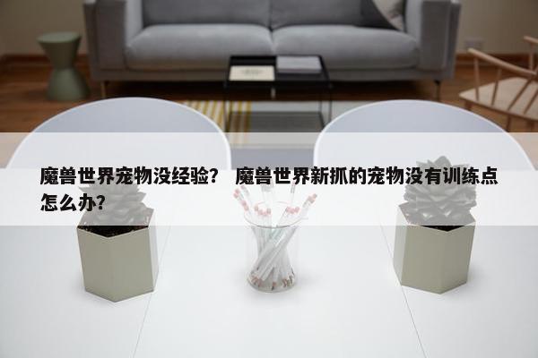 魔兽世界宠物没经验？ 魔兽世界新抓的宠物没有训练点怎么办？