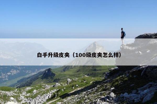 白手升级皮夹（100级皮夹怎么样）
