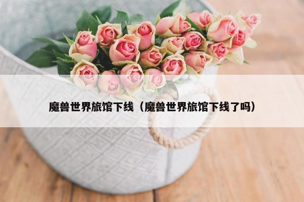 魔兽世界旅馆下线（魔兽世界旅馆下线了吗）