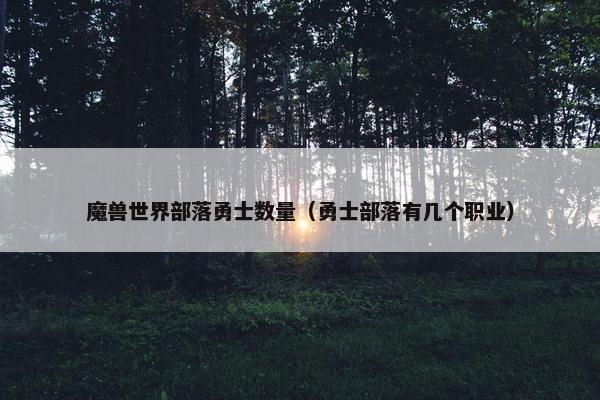 魔兽世界部落勇士数量（勇士部落有几个职业）