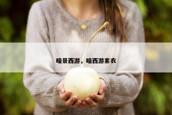 暗景西游，暗西游素衣