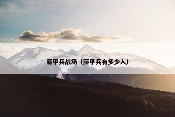藤甲兵战场（藤甲兵有多少人）