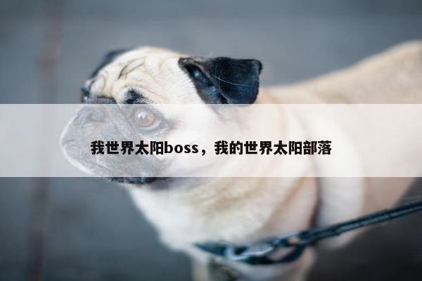 我世界太阳boss，我的世界太阳部落