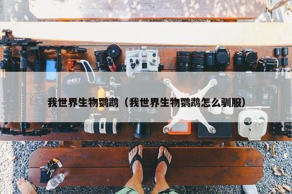 我世界生物鹦鹉（我世界生物鹦鹉怎么驯服）