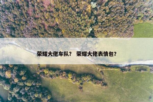 荣耀大佬车队？ 荣耀大佬表情包？