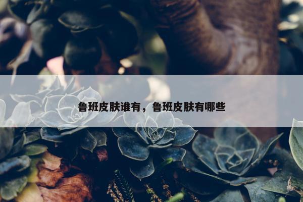 鲁班皮肤谁有，鲁班皮肤有哪些