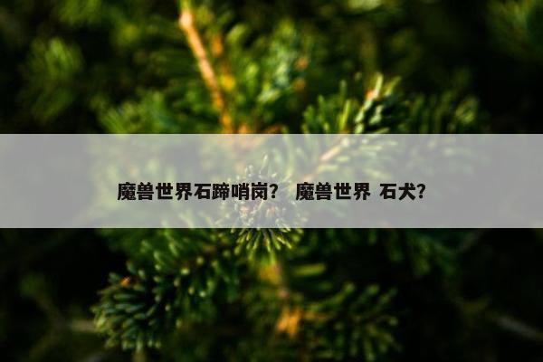 魔兽世界石蹄哨岗？ 魔兽世界 石犬？