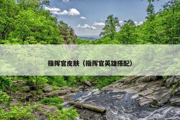 指挥官皮肤（指挥官英雄搭配）