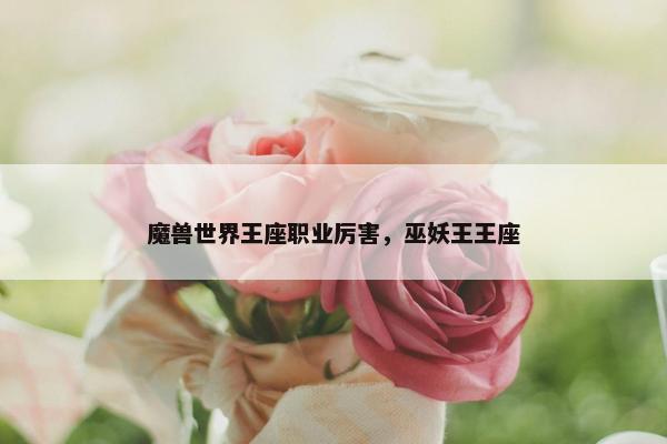 魔兽世界王座职业厉害，巫妖王王座