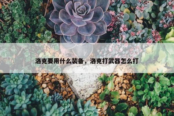 洛克要用什么装备，洛克打武器怎么打
