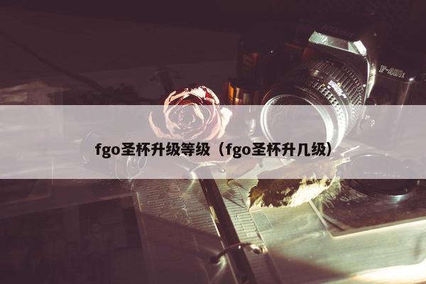 fgo圣杯升级等级（fgo圣杯升几级）
