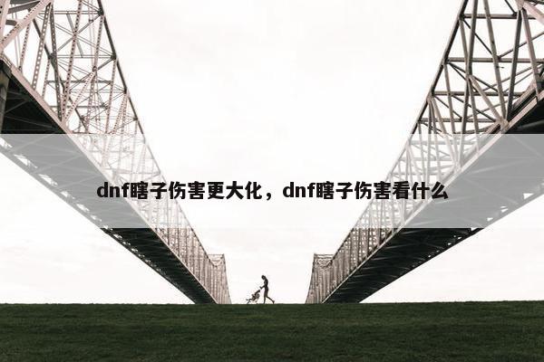 dnf瞎子伤害更大化，dnf瞎子伤害看什么