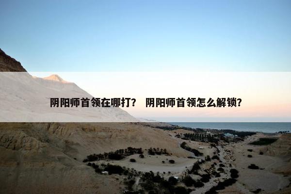 阴阳师首领在哪打？ 阴阳师首领怎么解锁？