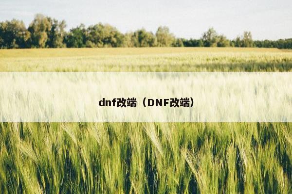 dnf改端（DNF改端）