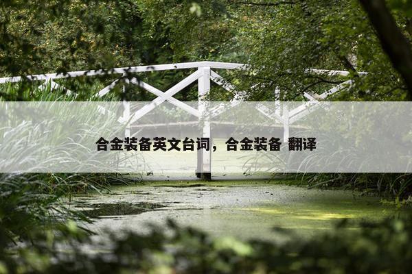 合金装备英文台词，合金装备 翻译