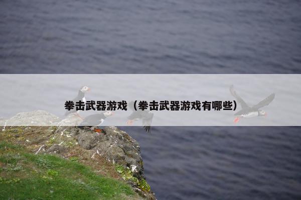 拳击武器游戏（拳击武器游戏有哪些）