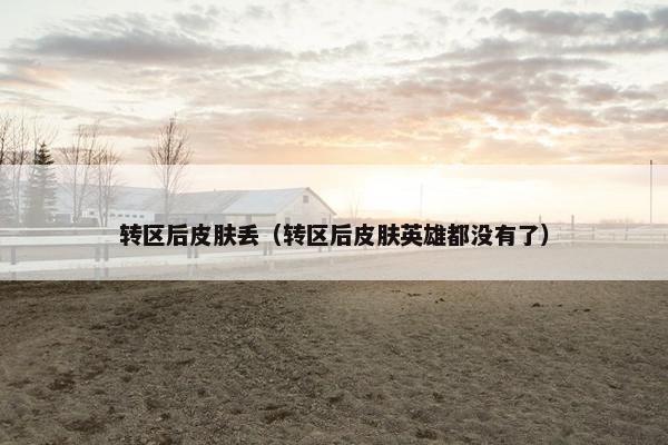 转区后皮肤丢（转区后皮肤英雄都没有了）