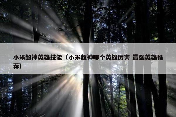 小米超神英雄技能（小米超神哪个英雄厉害 最强英雄推荐）