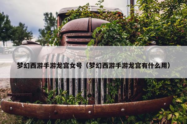 梦幻西游手游龙宫女号（梦幻西游手游龙宫有什么用）