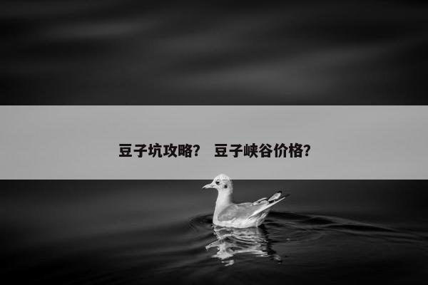 豆子坑攻略？ 豆子峡谷价格？