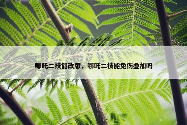 哪吒二技能改版，哪吒二技能免伤叠加吗