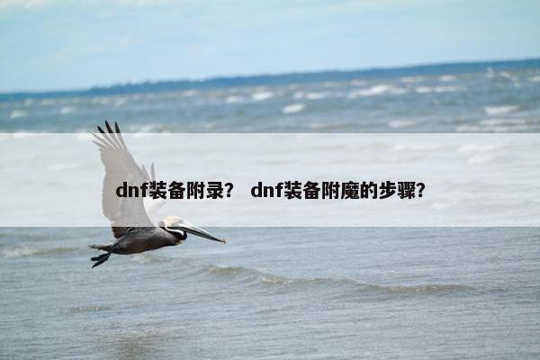 dnf装备附录？ dnf装备附魔的步骤？