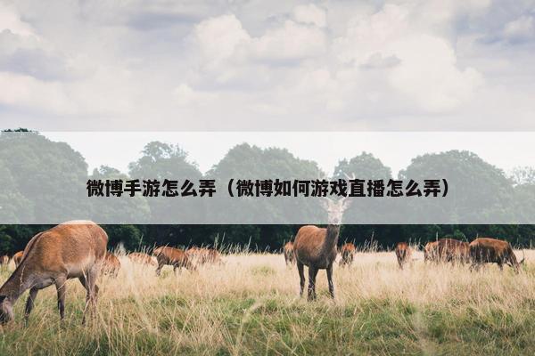 微博手游怎么弄（微博如何游戏直播怎么弄）