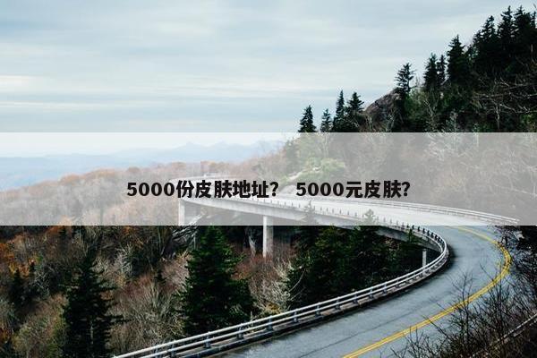5000份皮肤地址？ 5000元皮肤？