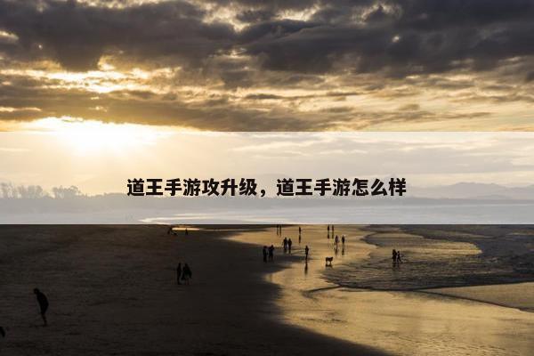 道王手游攻升级，道王手游怎么样