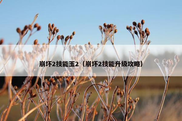 崩坏2技能玉2（崩坏2技能升级攻略）