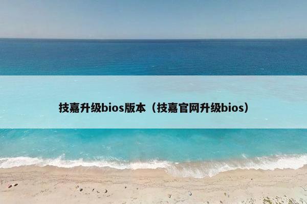 技嘉升级bios版本（技嘉官网升级bios）