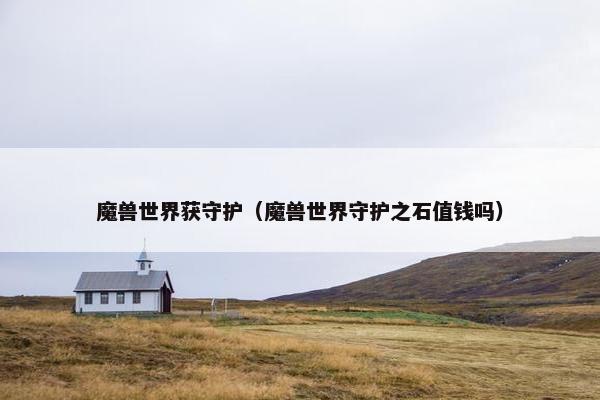 魔兽世界获守护（魔兽世界守护之石值钱吗）