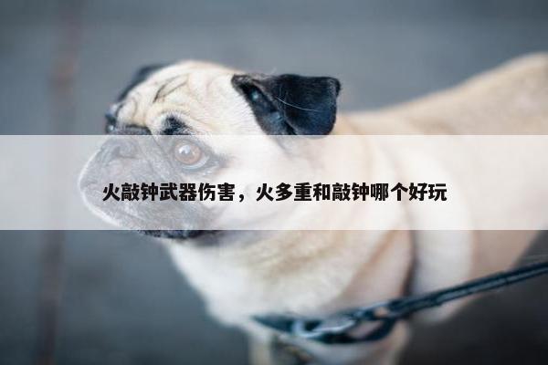 火敲钟武器伤害，火多重和敲钟哪个好玩