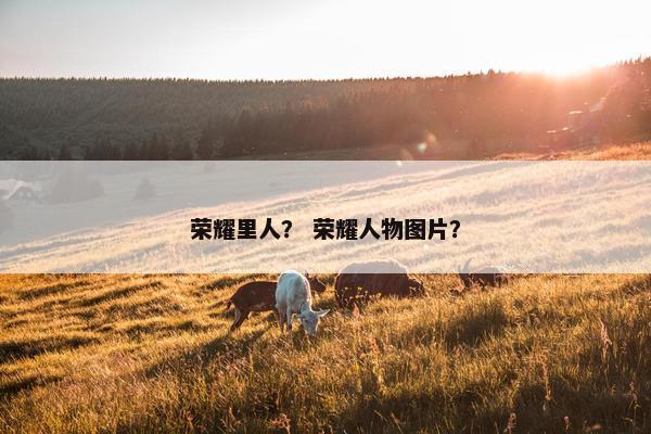 荣耀里人？ 荣耀人物图片？
