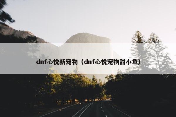 dnf心悦新宠物（dnf心悦宠物甜小鱼）