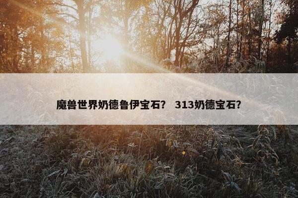 魔兽世界奶德鲁伊宝石？ 313奶德宝石？